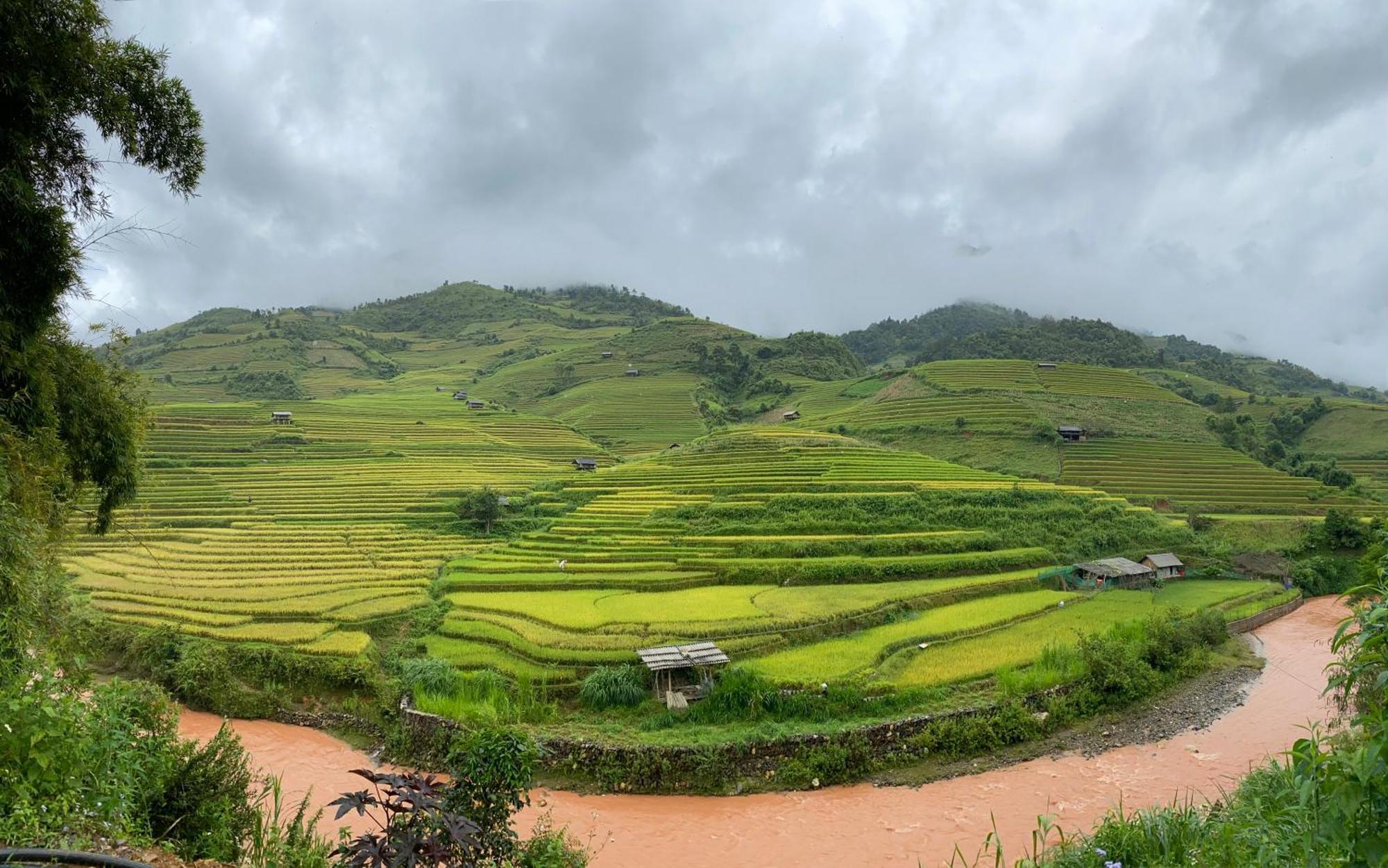 Mu Cang Chai Homestay & Trekking Exterior photo