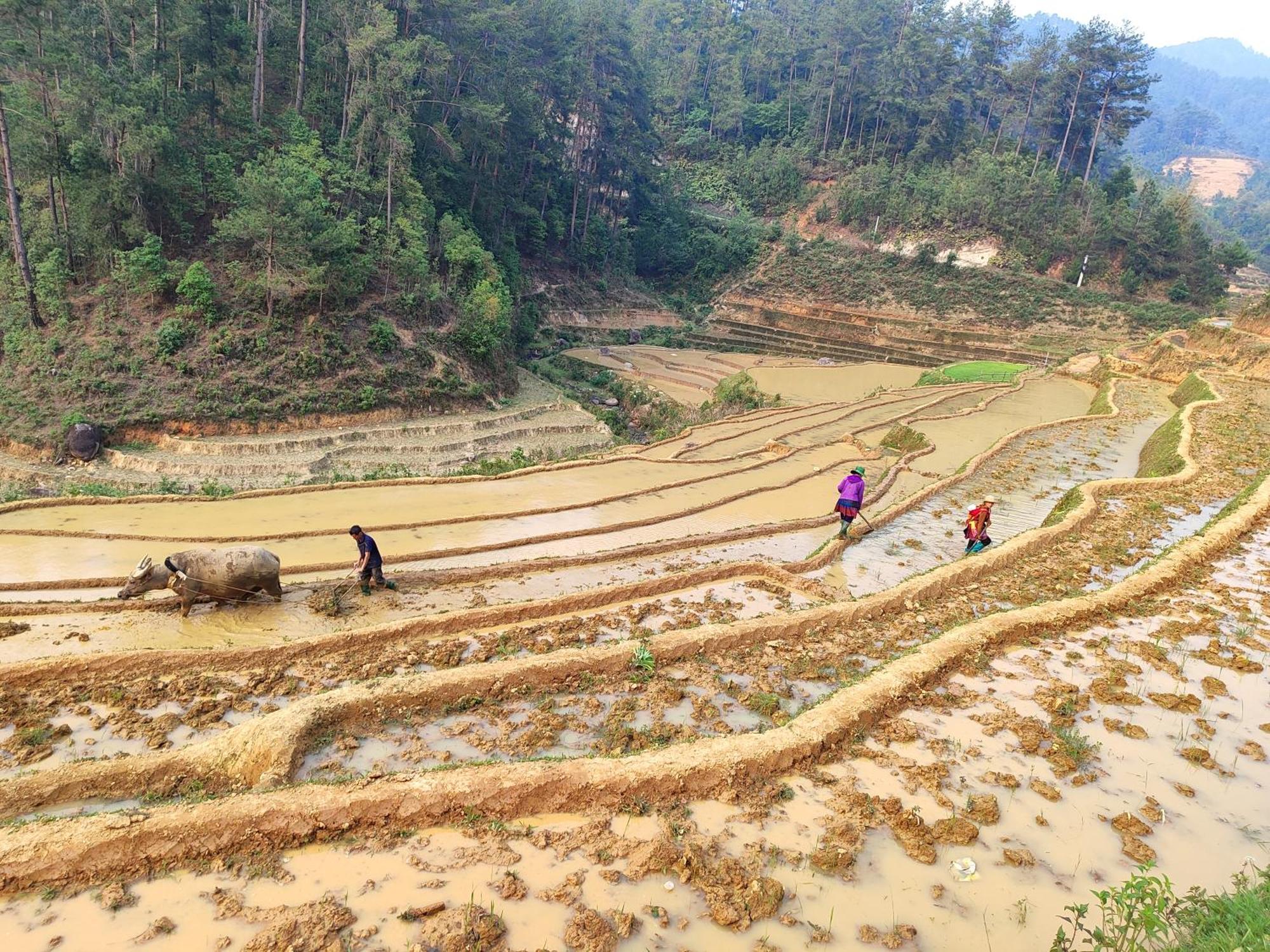 Mu Cang Chai Homestay & Trekking Exterior photo