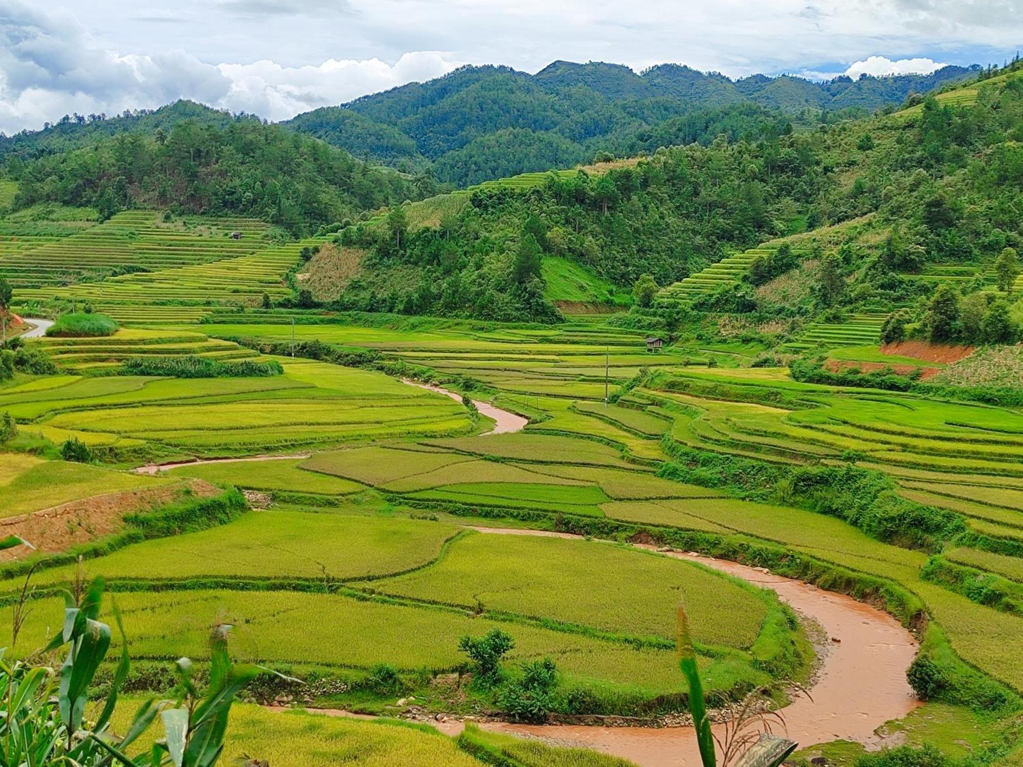 Mu Cang Chai Homestay & Trekking Exterior photo